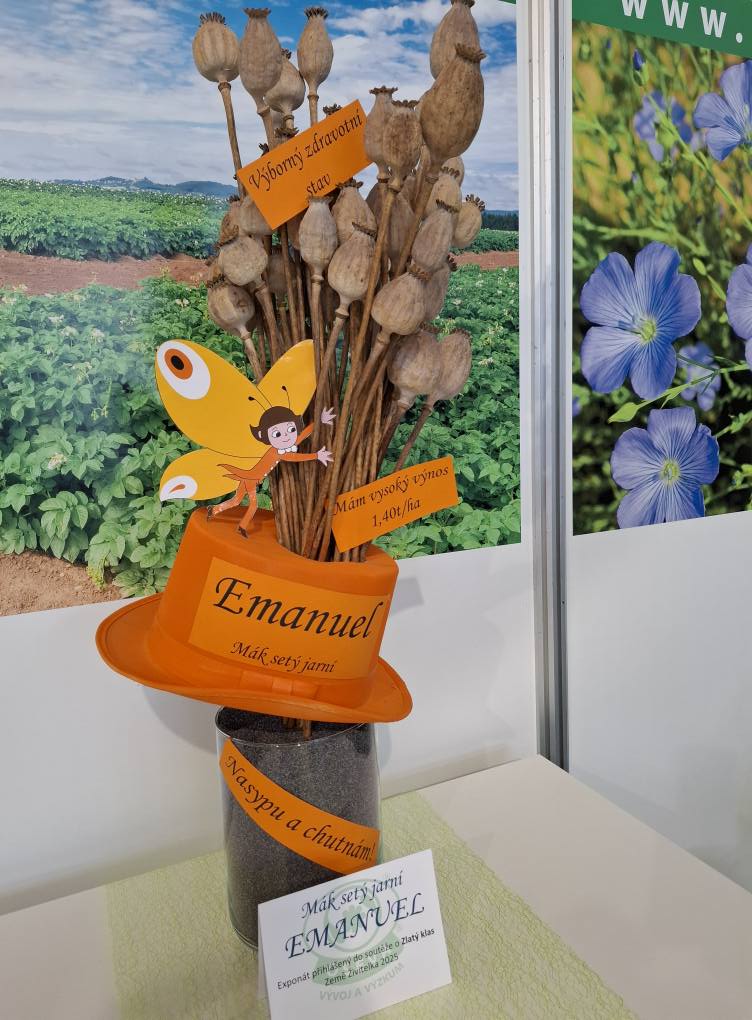 Zlatý klas - Emanuel